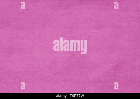 Abstract pink felt background. Pink velvet background. Stock Photo