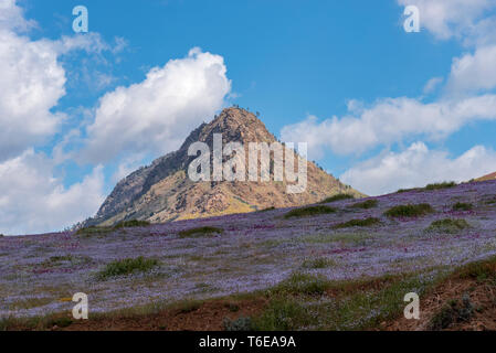 Shaded mountain meadows with rocky peak covered in sunlight under bright blue sky with white clouds. Stock Photo