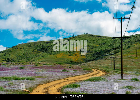 Unpaved country back road curving through fields of wildflowers towards green hills beyond. Stock Photo