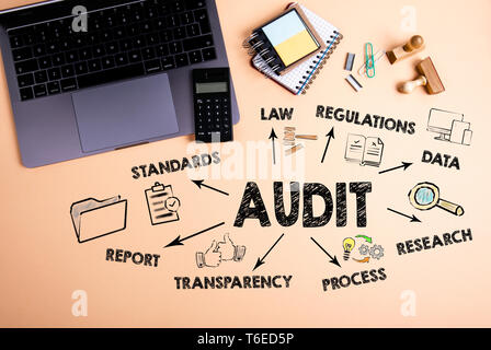 Audit concept. Chart with keywords and icons Stock Photo