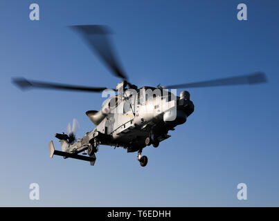 Royal Navy Wildcat HMA2 helicopter of 815 Naval Air Squadron which provides helicopters (small ships flights) for frigates and destroyers Stock Photo