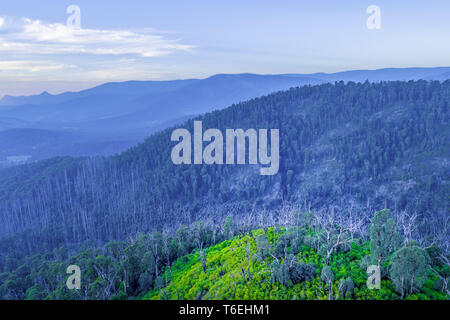 Forested hills and mountain silhouettes at dusk Stock Photo