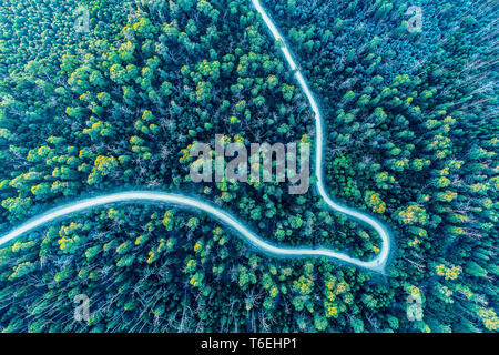 Looking down at road bend winding through forest - aerial view