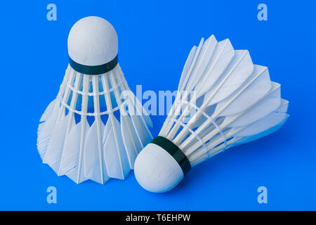 Badminton shuttlecocks on blue background Stock Photo