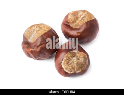 Ripe chestnuts Stock Photo