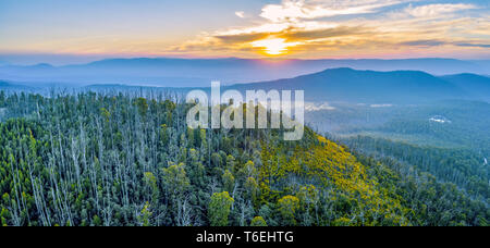 Sunset over mountains and forest in Yarra Ranges National Park Stock Photo