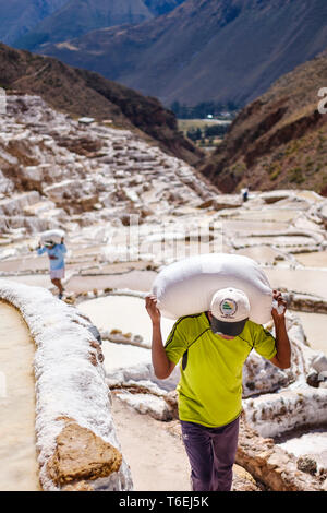 Workers collecting salt at family-owned Salt-evaporation ponds of Maras mines in the Sacred Valley, Cusco Region, Peru Stock Photo