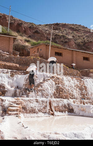 Workers collecting salt at family-owned Salt-evaporation ponds of Maras mines in the Sacred Valley, Cusco Region, Peru Stock Photo