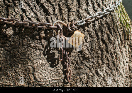 Metal chain with locked padlock Stock Photo