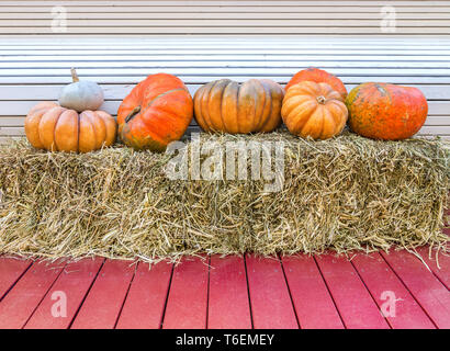 Various pumpkins on wooden background Stock Photo
