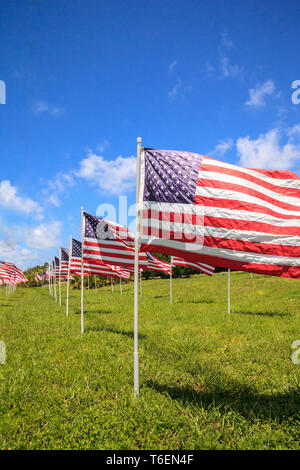 Patriotic display of multiple large American flags Stock Photo - Alamy