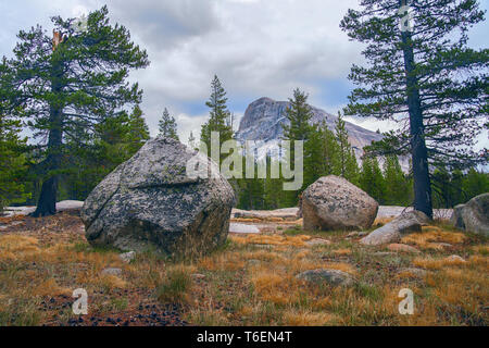 Tuolumne Meadows and Lembert Dome in Yosemite National Park. California. USA Stock Photo