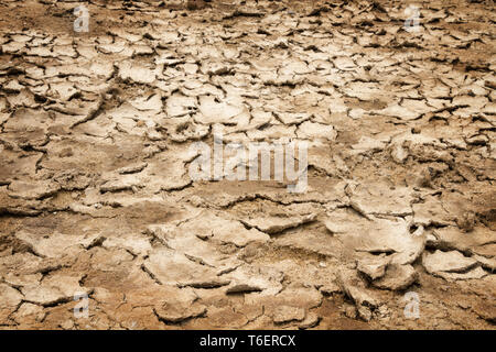 cracked dry sandy earth Stock Photo