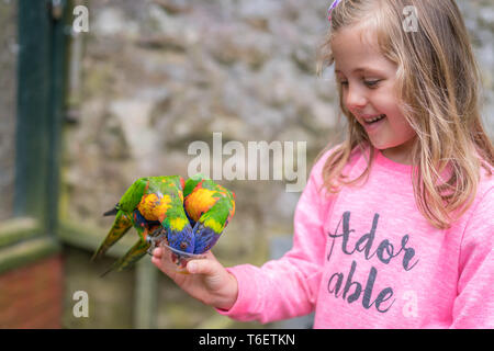 Cute girl feeding parrots in zoo Stock Photo