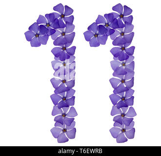 Numeral 11, eleven, from natural blue flowers of periwinkle, isolated on white background Stock Photo