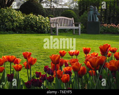 Chenies Manor Gardens in April; landscape view across the lawn with backlit Brown Sugar tulips, wood garden bench and statue; a peaceful Spring scene. Stock Photo