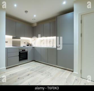 Modern grey built in kitchen and appliances in modern apartment Stock Photo