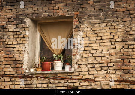Old grunge weathered house brick wall backside facade Stock Photo