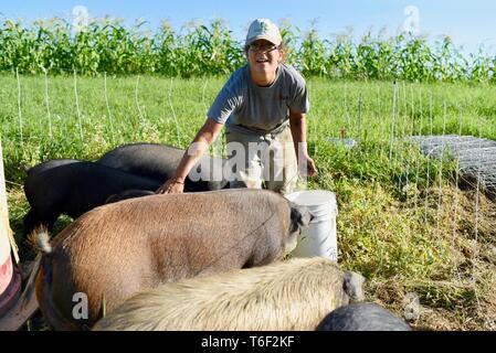 Hard working woman farmer on small farm doing chores of bringing water and feeding pigs outside Decorah, Iowa, USA Stock Photo