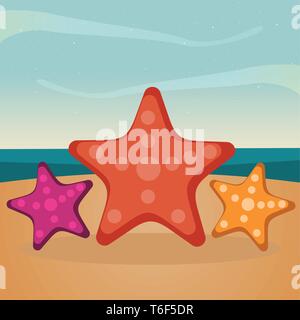starfish on the beach for summer concept vector illustration Stock Vector