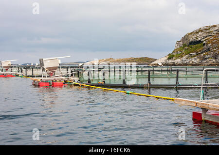Fish farming in cages in the sea at the coast Stock Photo