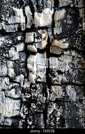 Burnt wood Stock Photo