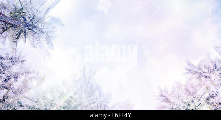 Panorama of dense forest, fir and pine natural green landscape, web ...
