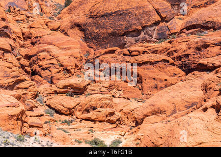 Red Rock Canyon Las Vegas state park - cyclists on the park road Stock ...