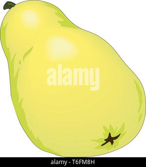 Pear Vector Illustration Stock Vector Image & Art - Alamy