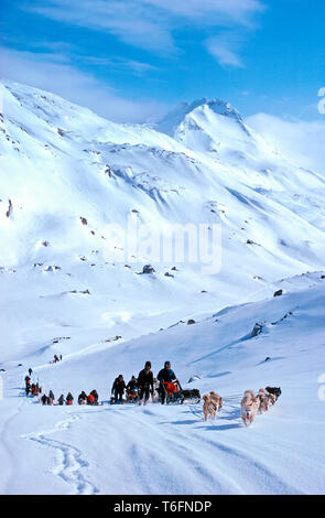 Inuits with dog sledgies travelling uphill, lightweight flexible sledges are used for travel in mountains, East Greenland, Greenland Stock Photo