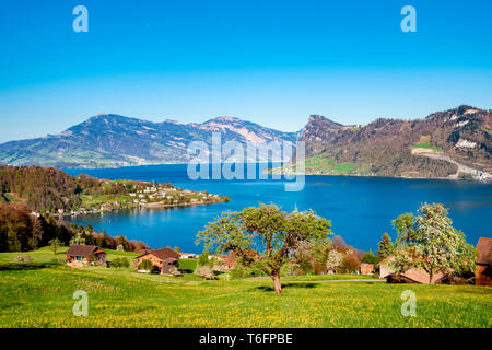 View over Lake Lucerne with Buergenstock and Weggis Stock Photo