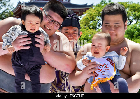 Sumo wrestlers hold up crying babies during a 'Baby-cry Sumo' event at the Sensoji Temple on April 28, 2019 in Tokyo, Japan. Japanese parents believe that sumo wrestlers can help make babies cry out a wish to grow up with good health. Stock Photo