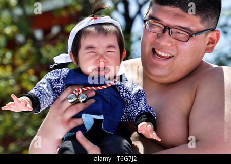 Sumo wrestlers hold up crying babies during a 'Baby-cry Sumo' event at the Sensoji Temple on April 28, 2019 in Tokyo, Japan. Japanese parents believe that sumo wrestlers can help make babies cry out a wish to grow up with good health. Stock Photo