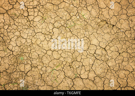 cracked dry sandy earth Stock Photo