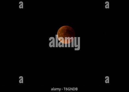 Blood moon over germany in july 2018 Stock Photo