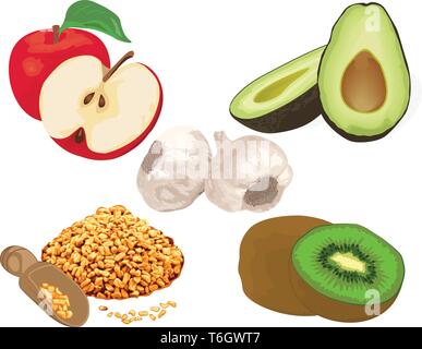 Foods to reduce cholesterol level. garlic, apple, kiwi, fenugreek, avocado  vector illustration on a white background Stock Vector