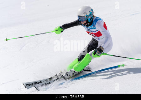 Jinsiy aloqa 250g Kiev