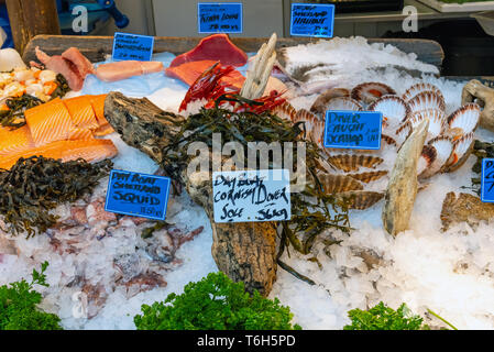 Fish, seafood and scallops for sale at a market in London, UK Stock Photo