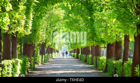 Beautiful park around Schonbrunn palace in Vienna, Austria Stock Photo