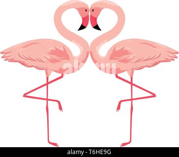 exotic flemish couple birds Stock Vector