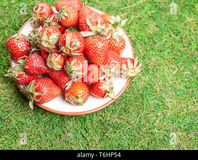 Plate with strawberries on green grass Stock Photo