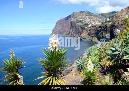 View from european highest cliffs Fajas de Cabo Girao on te