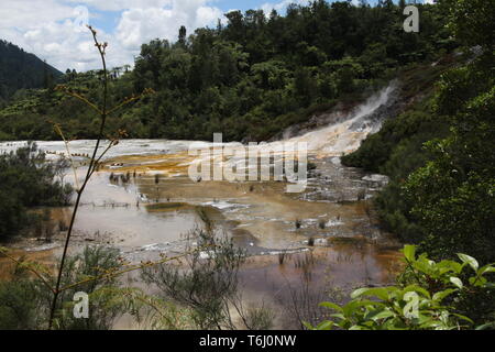 Orakei Korako hidden geothermal valley - Emerald terrace, New Zealand: View on colorful rainbow sinter terrace covered with yellow and white microbial Stock Photo