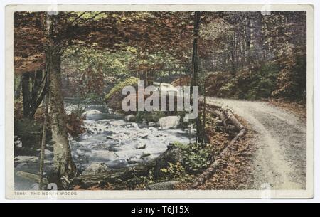 Detroit Publishing Company vintage postcard of The North Woods, 1914. From the New York Public Library. () Stock Photo