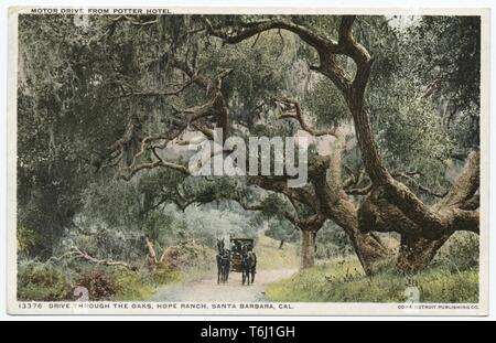 Detroit Publishing Company vintage postcard of a horse-drawn carriage driving through the oaks in Hope Ranch, Santa Barbara, California, 1914. From the New York Public Library. () Stock Photo