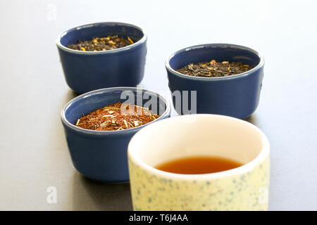 Cup of tea in front of different sorts of tea leaves in bowls on white background. Modern minimalistic image Stock Photo