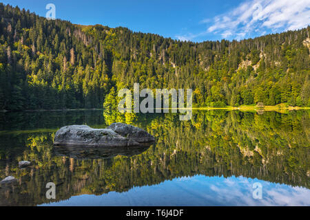 lake Feldbergsee with rocky cliffs of the former glacial cirque at the foot of the mountain Feldberg, Germany, Southern Black Forest Nature Park Stock Photo