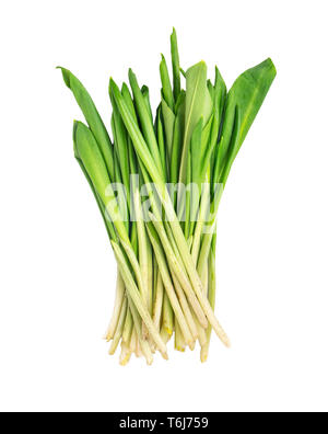 Bunch of fresh wild garlic isolated on white background Stock Photo