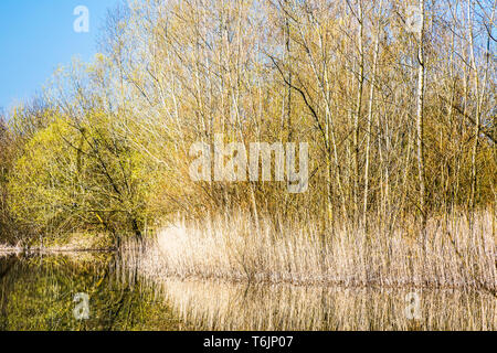 One of the lakes at Cotswold Water Park. Stock Photo