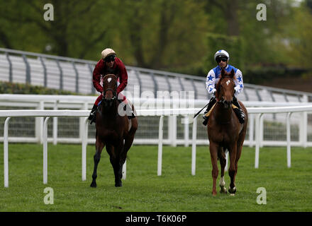 Muchly ridden by jockey Frankie Dettori (left) and Queen Power ridden by Jockey Silvestre De Sousa after the Naas Racecourse Royal Ascot Trials Day British EBF Fillies' Conditions Stakes during Royal Ascot Trials Day at Ascot Racecourse. Stock Photo